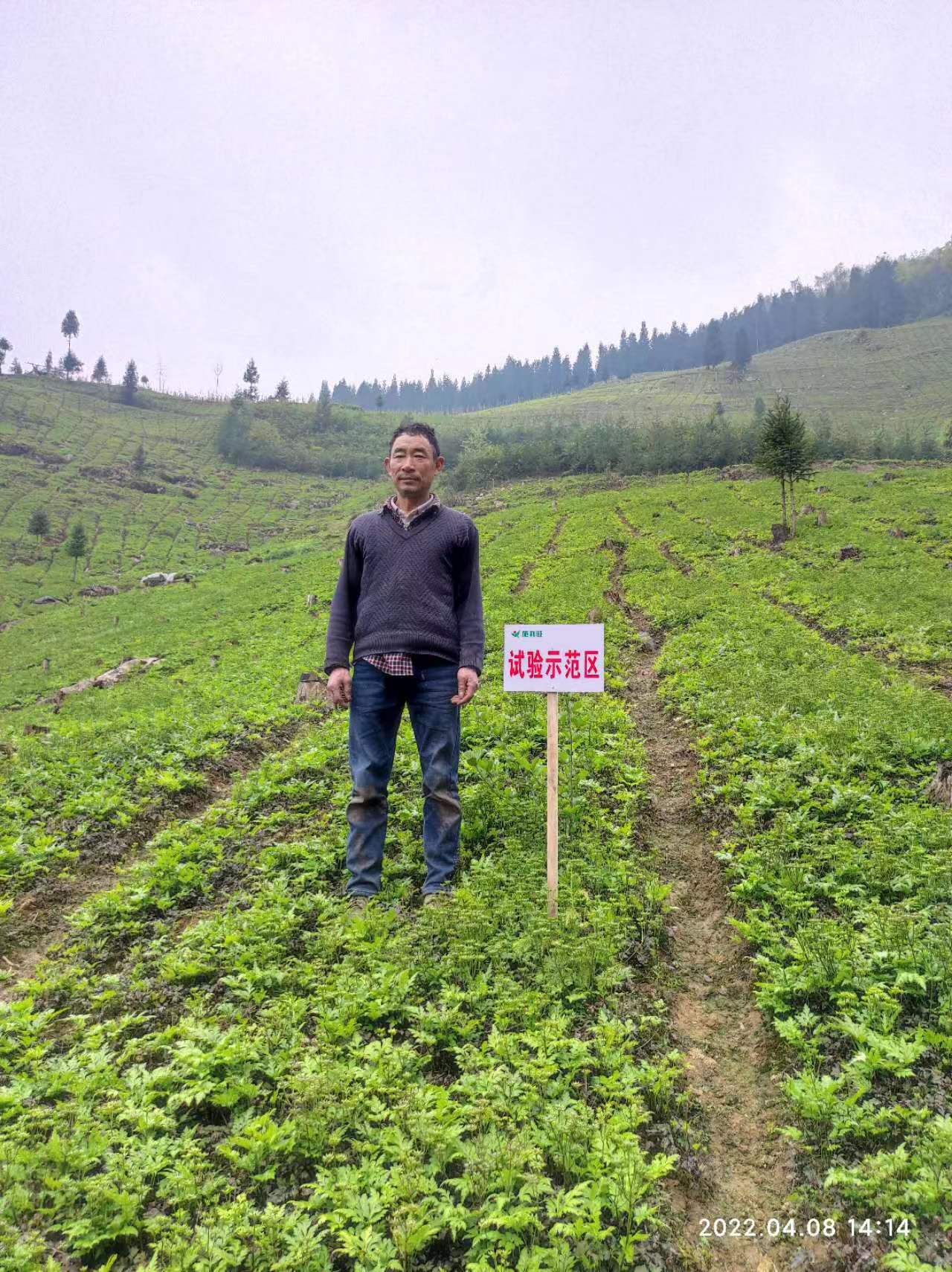 1659582686112813.jpg 1659582686112813.jpg