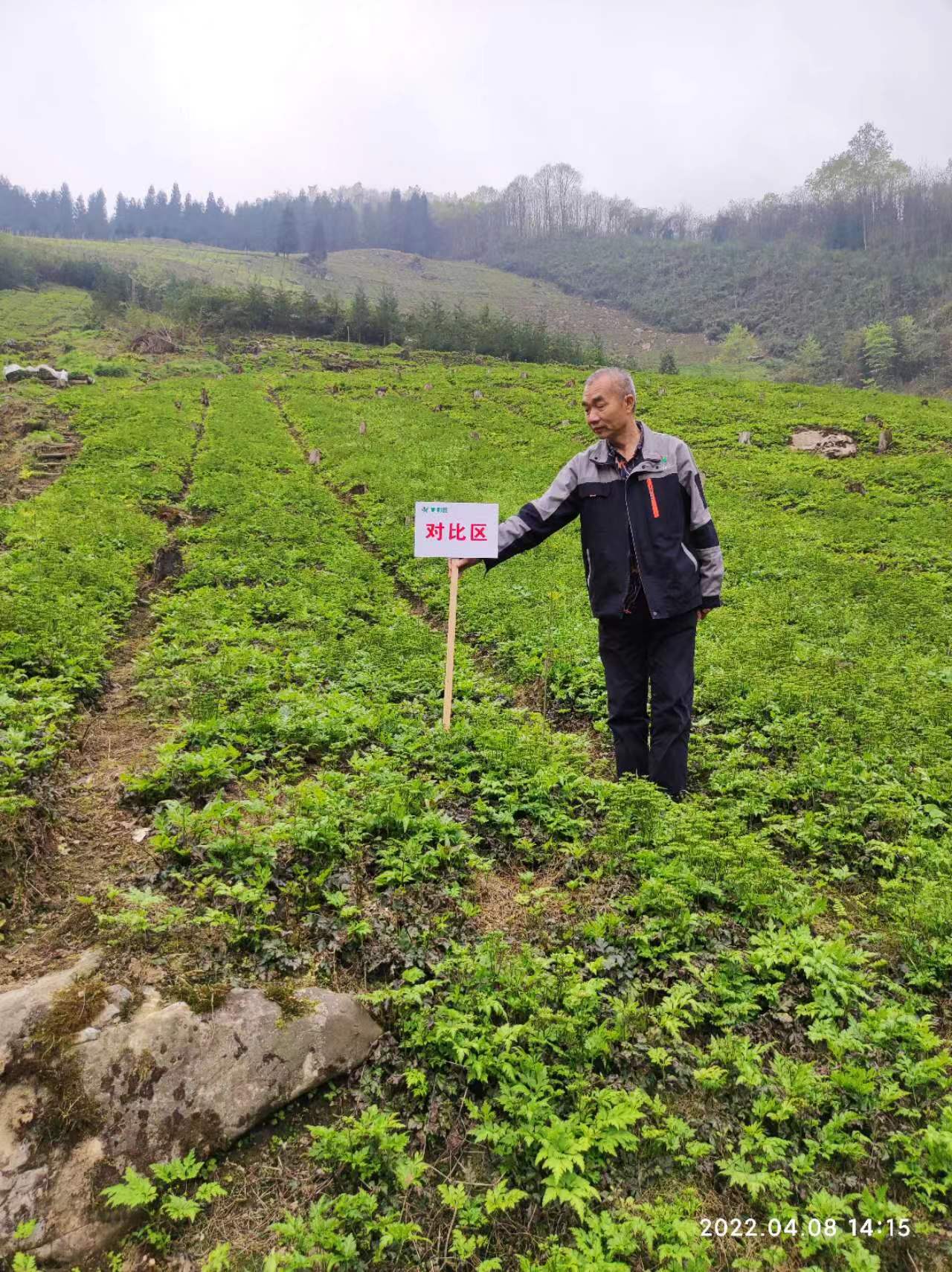 1659582738208322.jpg 1659582738208322.jpg