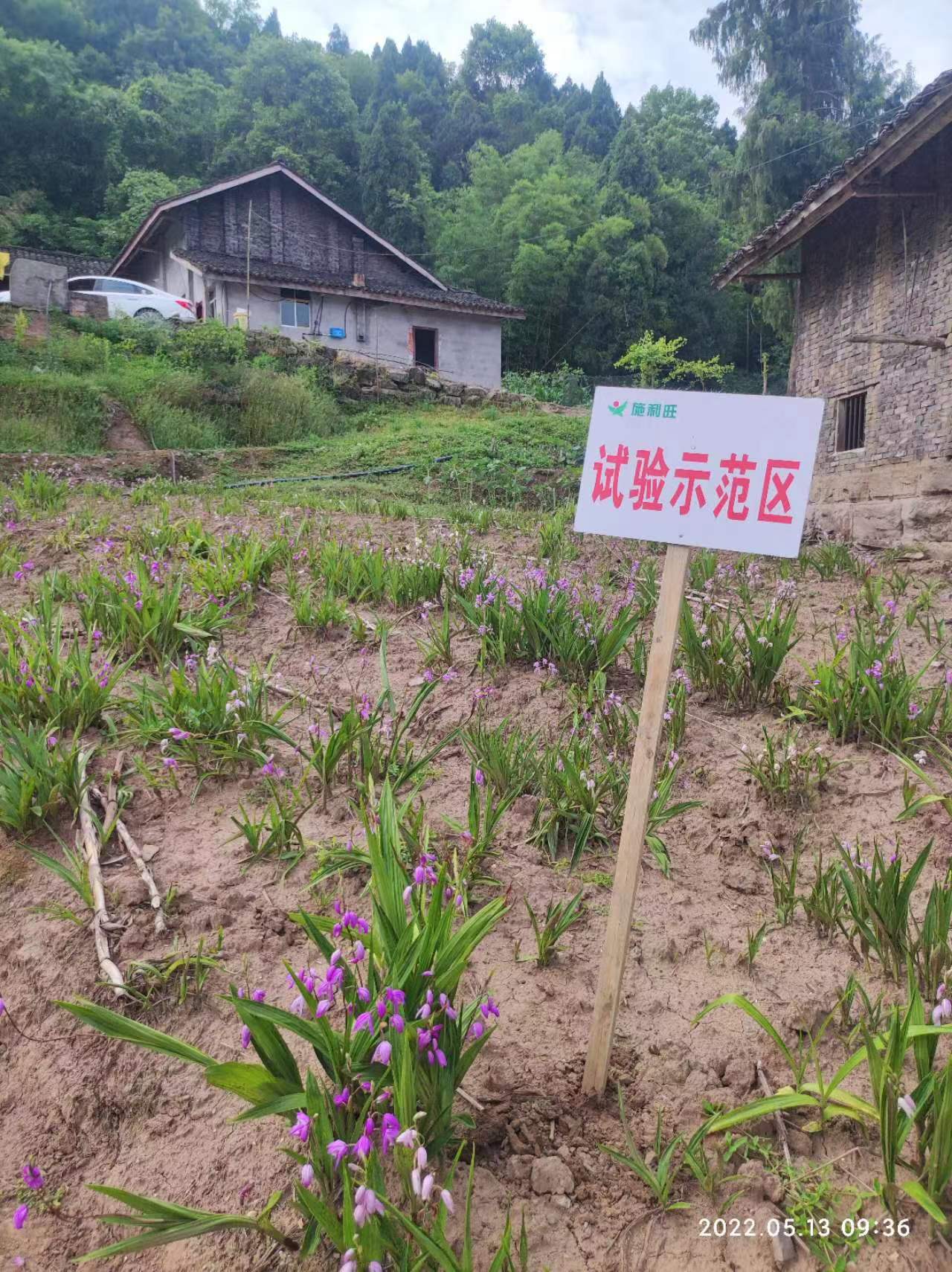 1659593445210675.jpg 1659593445210675.jpg