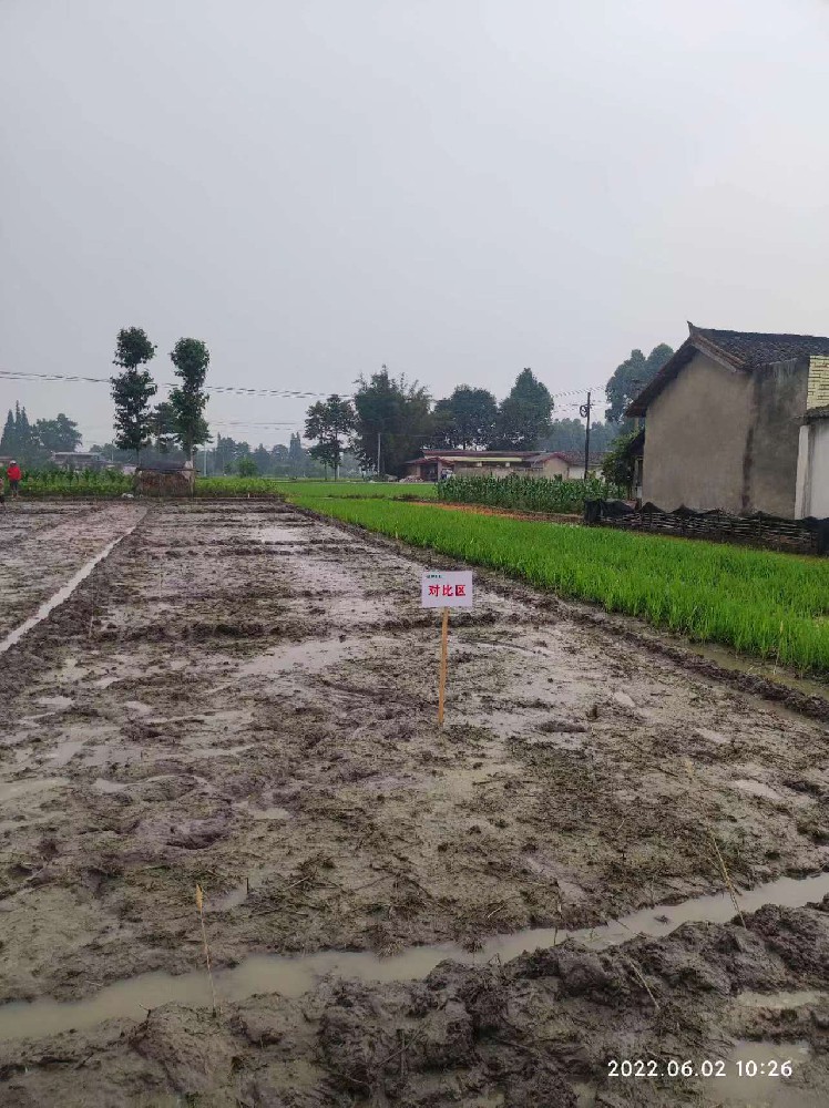 1659594964250983.jpg 1659594964250983.jpg