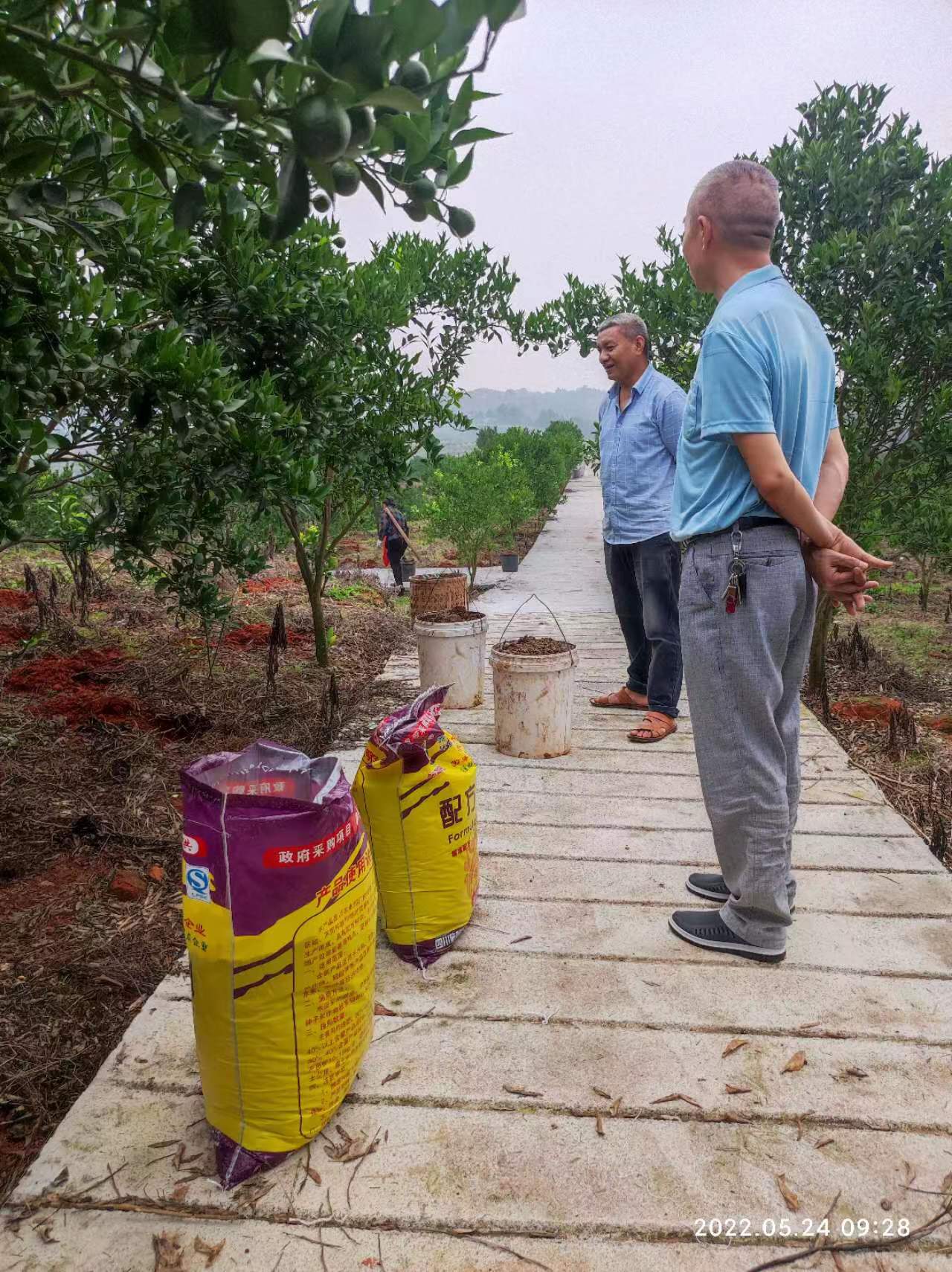 1659664169182789.jpg 1659664169182789.jpg