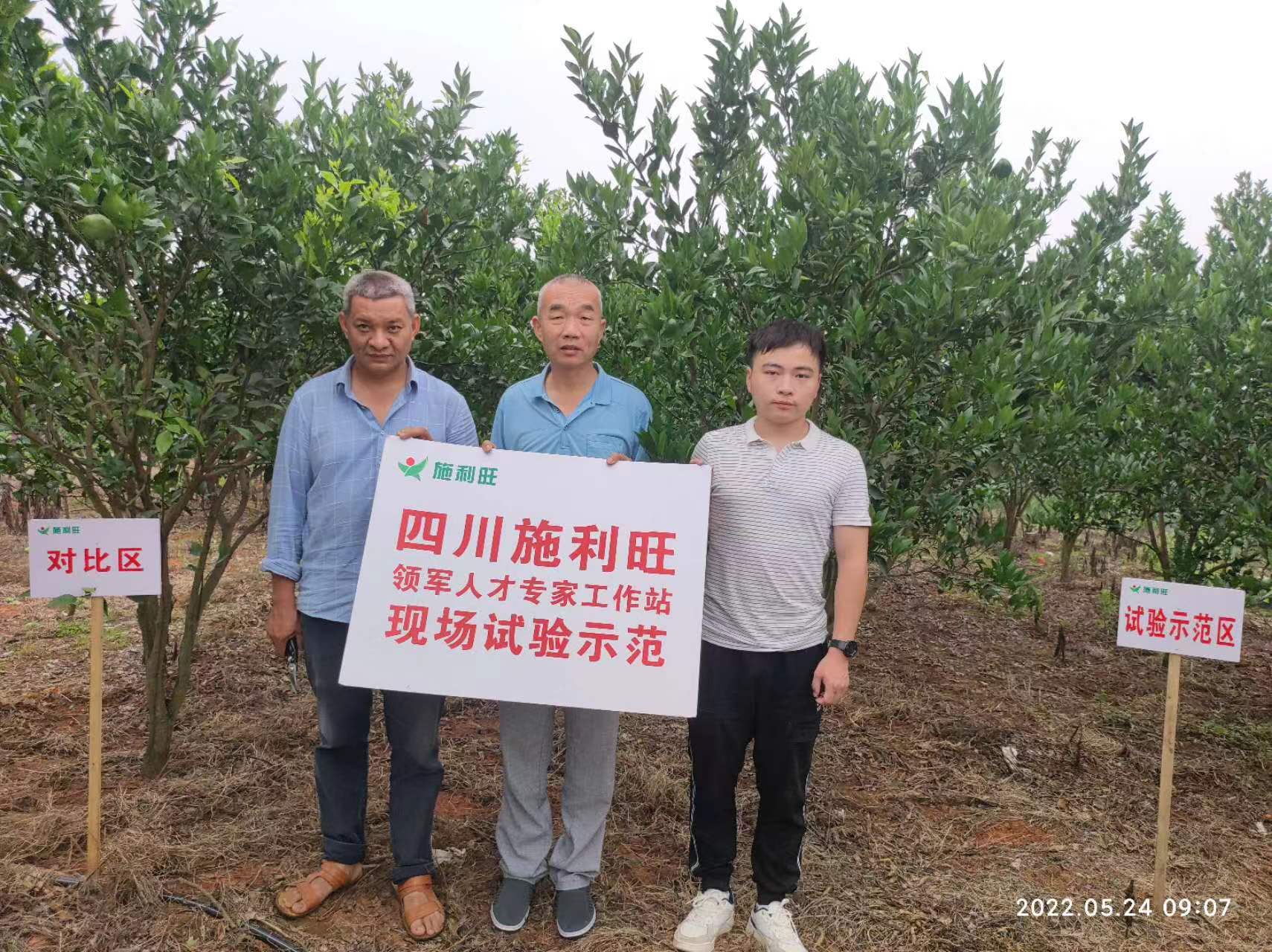 1659664169854969.jpg 1659664169854969.jpg