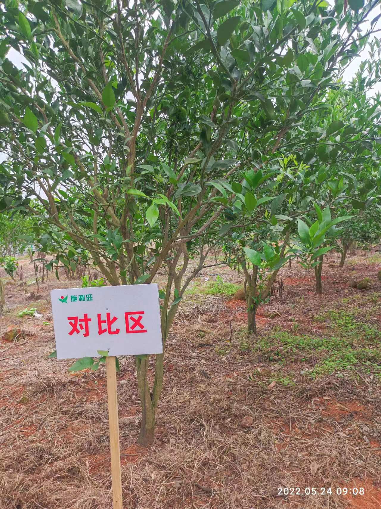 1659664252193707.jpg 1659664252193707.jpg