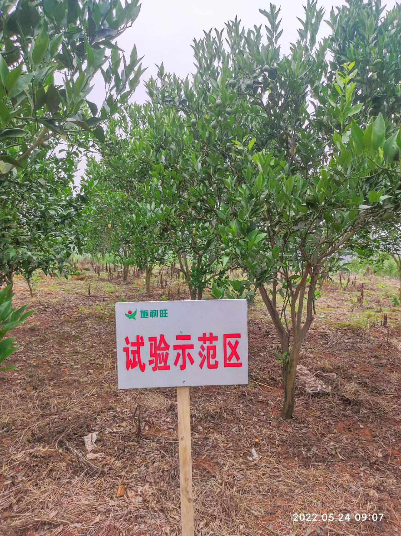 1659664252208003.jpg 1659664252208003.jpg