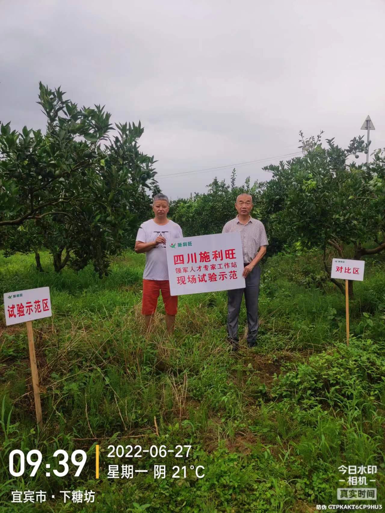 1659670731280208.jpg 1659670731280208.jpg