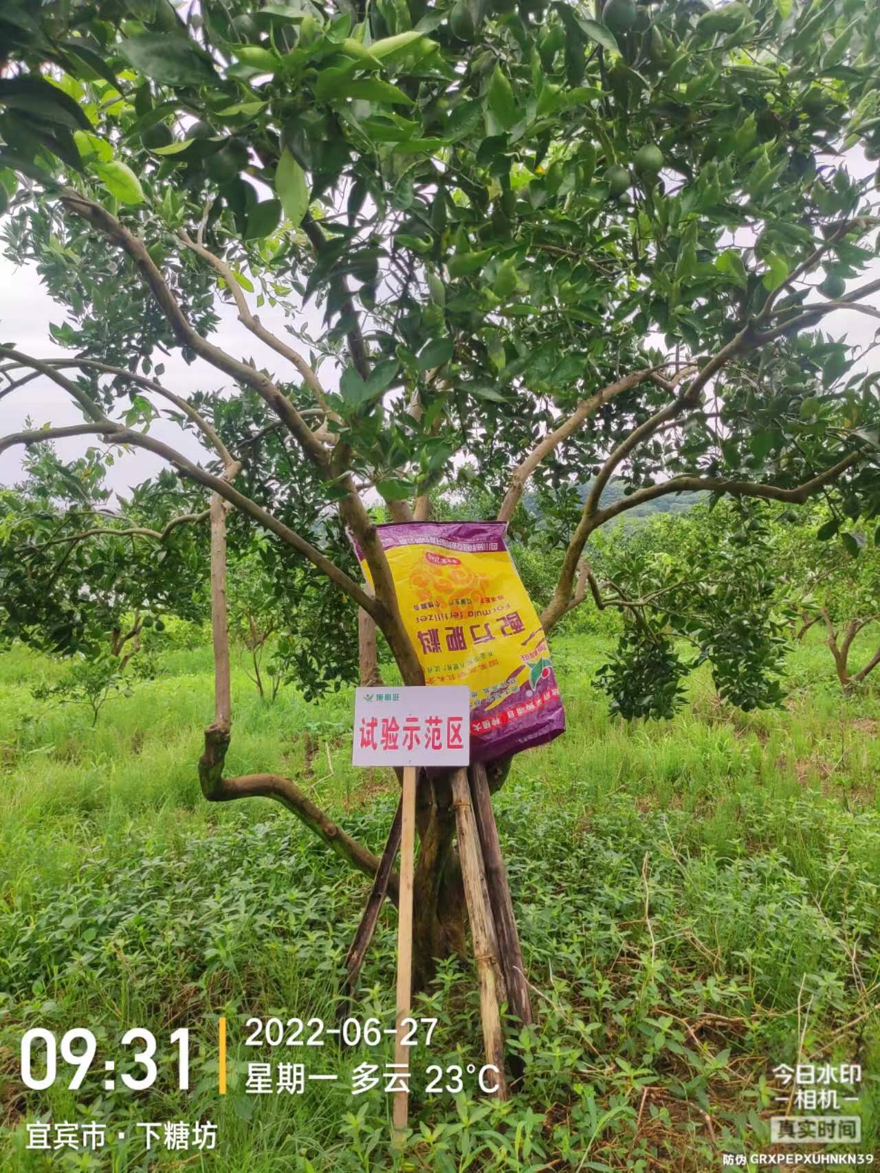 1659670762167579.jpg 1659670762167579.jpg