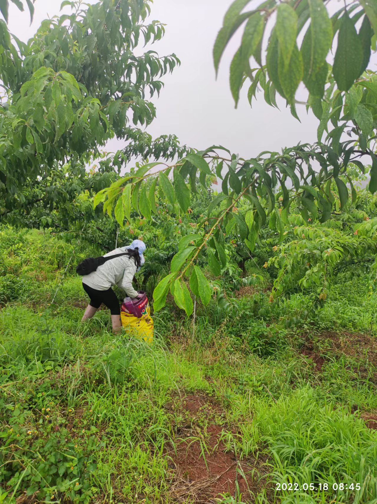 1659681247393853.jpg 1659681247393853.jpg