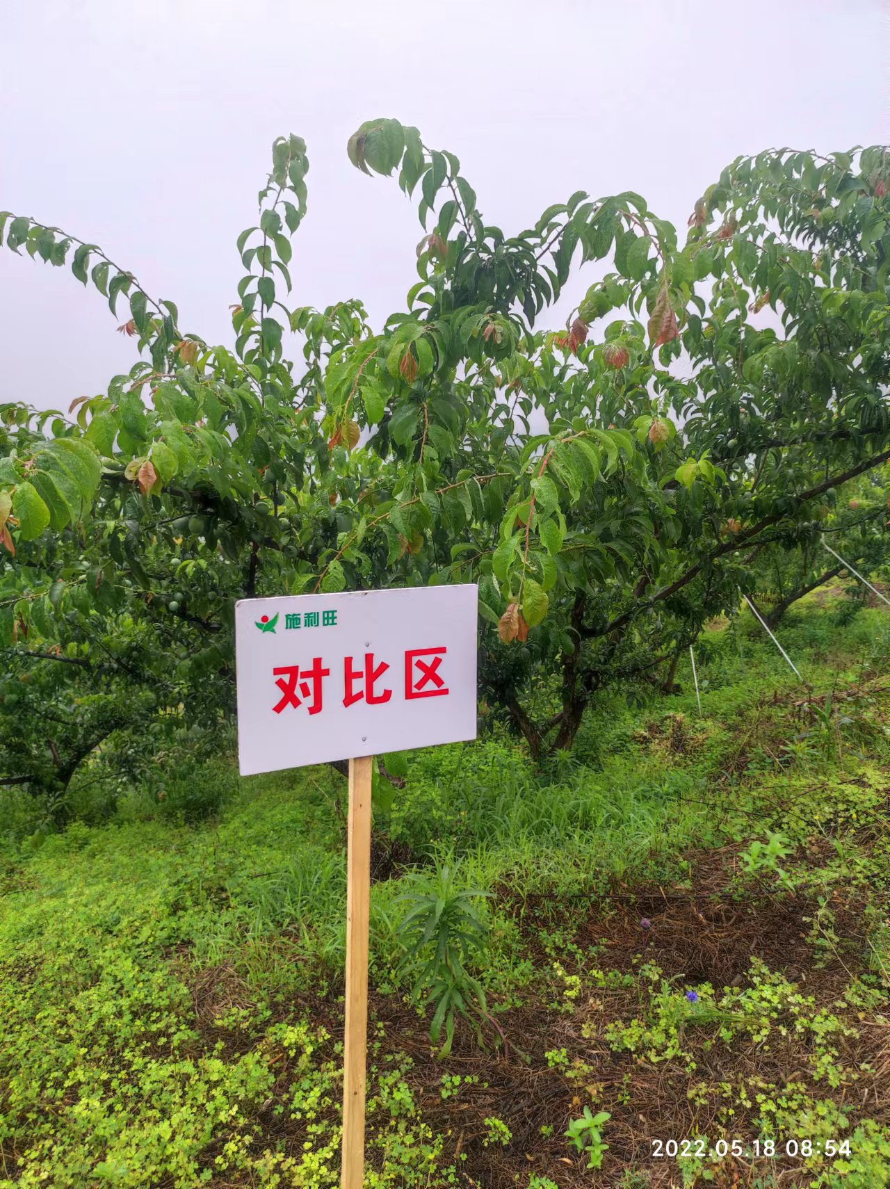 1659681313204455.jpg 1659681313204455.jpg